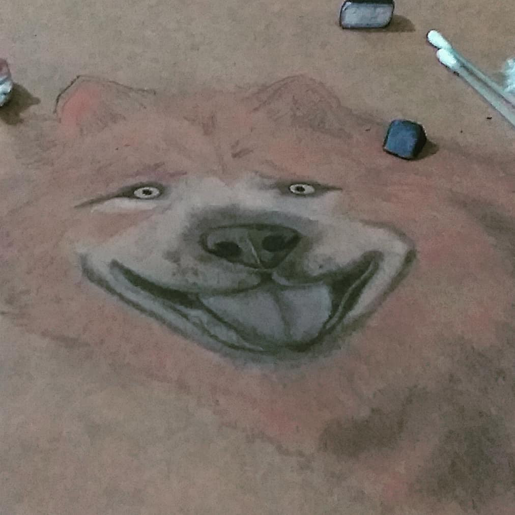 cão