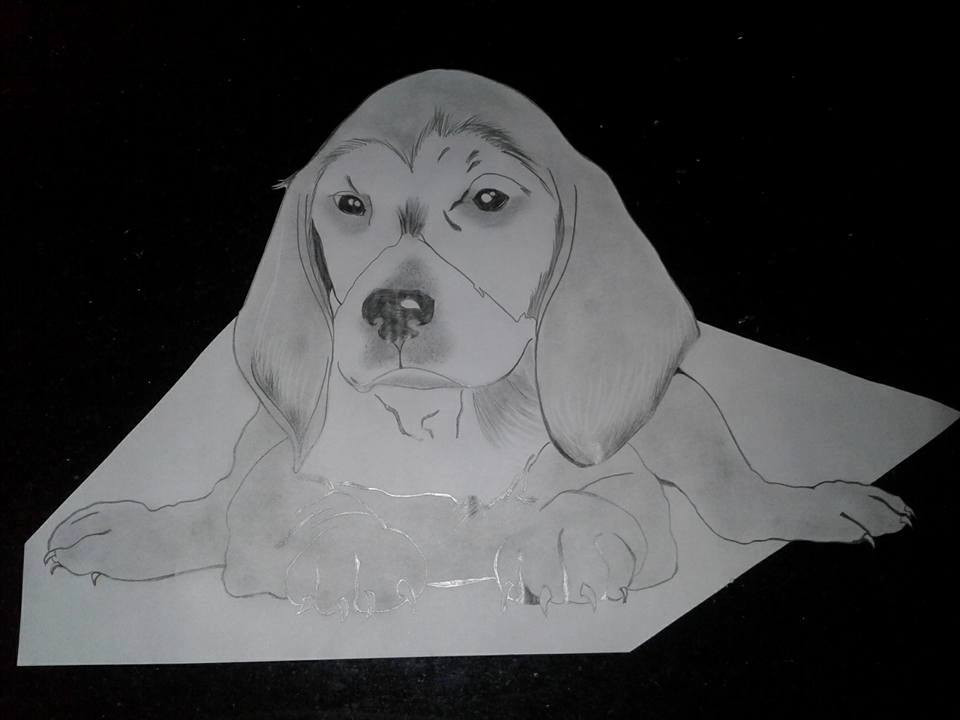 Pet 4